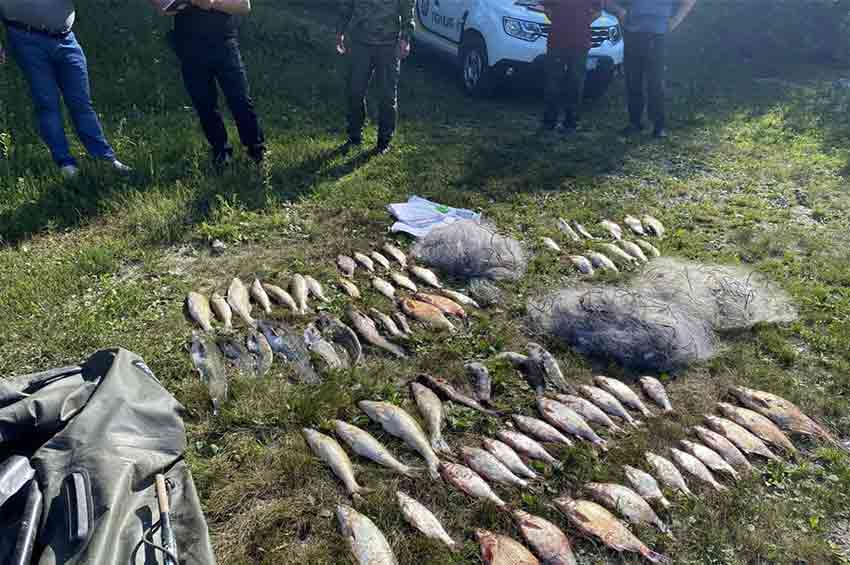 На річці Ушиця виявили браконьєра, який наловив риби на понад 180 тисяч гривень
