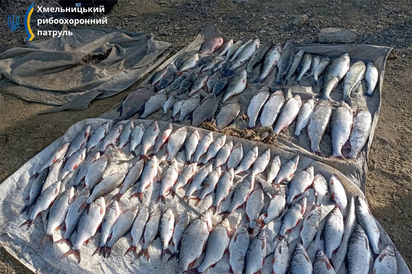 На Кам’янеччині виявили браконьєрів із незаконним уловом на понад 47 кілограмів